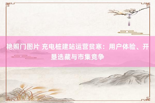 艳照门图片 充电桩建站运营贫寒：用户体验、开垦选藏与市集竞争