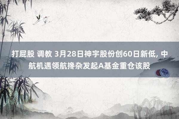 打屁股 调教 3月28日神宇股份创60日新低, 中航机遇领航搀杂发起A基金重仓该股