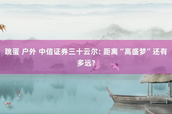 跳蛋 户外 中信证券三十云尔: 距离“高盛梦”还有多远?