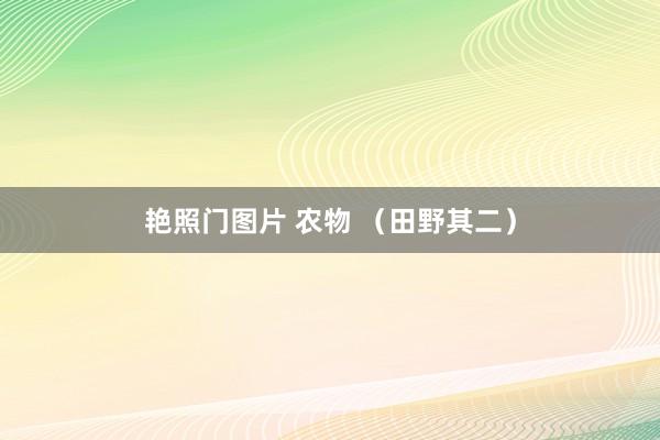 艳照门图片 农物 （田野其二）