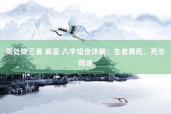 周处除三害 麻豆 八字组合详解：生者畏死、死生同途